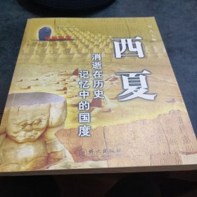 西夏：消失在历史记忆中的国度