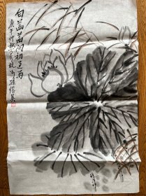 老字画 八九十年代 孙继英国画精品 白菡萏 软片未裱