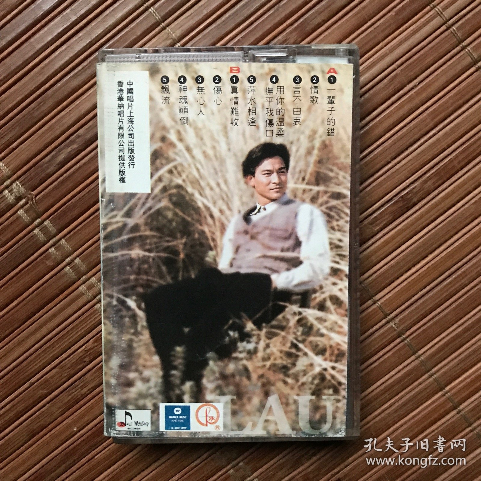 磁带：刘德华 真情难收