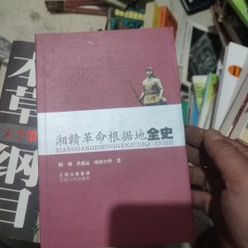 湘赣革命根据地全史