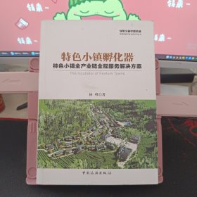 特色小镇孵化器：特色小镇全产业链全程服务解决方案9787503257469