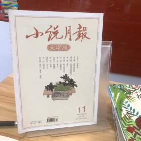 小说月报 大字版 2018.11