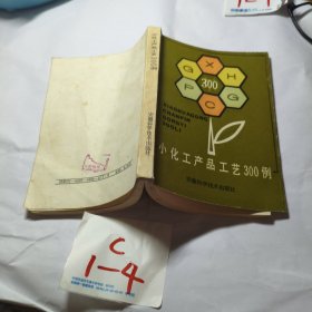 小化工产品工艺300例