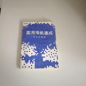 實用微機速成