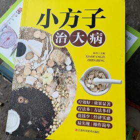 小方子治大病