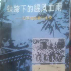 海南文史资料.第十一辑.铁蹄下的腥风血雨:日军侵琼暴行实录