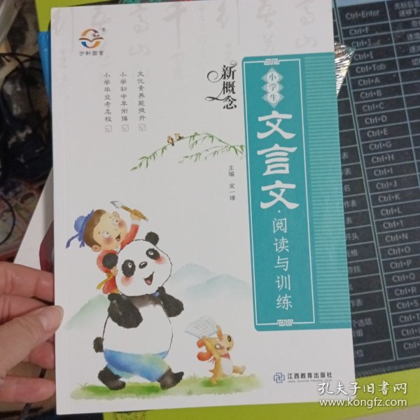 新概念小学生文言文阅读与训练