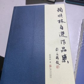 顾顺林自选作品集