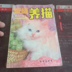 家庭养猫