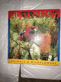 australia's Animals&Wildflowers