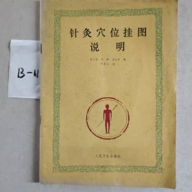 针灸穴位挂图说明