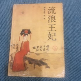 流浪王妃