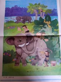 第三课，小猴和大象，小学语文课本说话第一册教学挂图