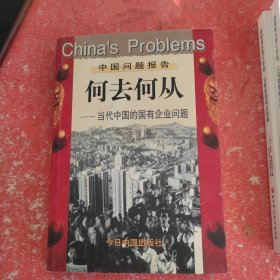 何去何从：当代中国的国有企业问题