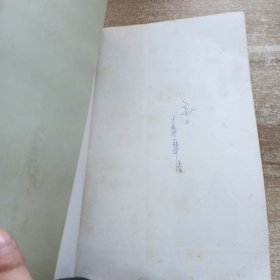 中国当代文学史写真