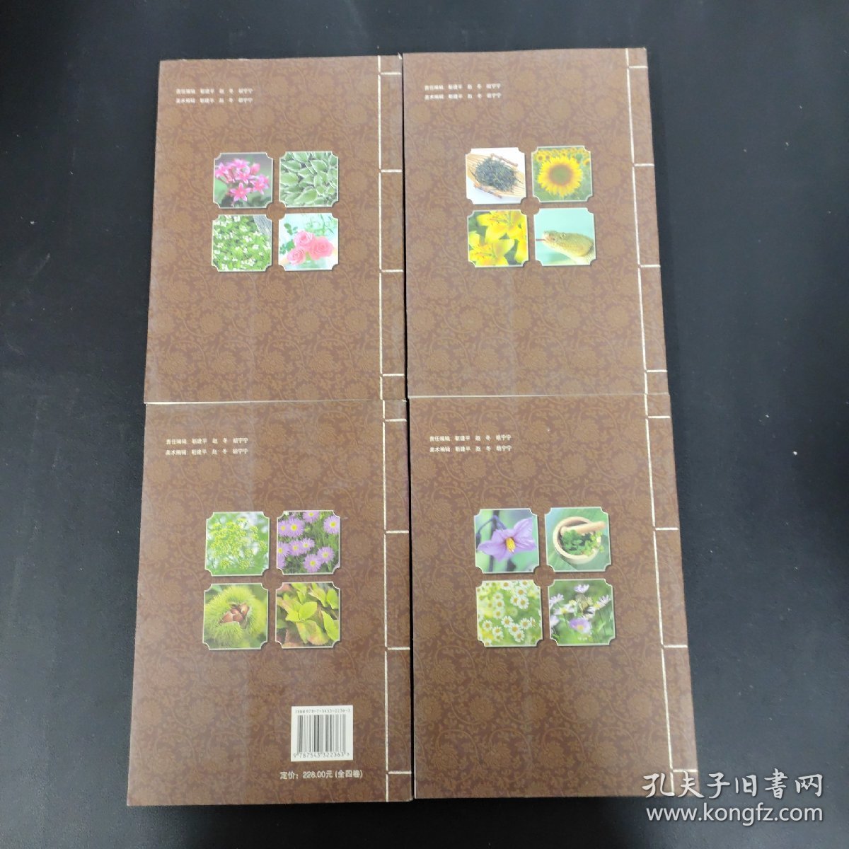 彩色药典本草纲目 1-4卷 全四卷 4本合售