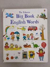 The Usborne big book of english words【精装本】