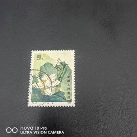 T54-1 荷花信销邮票 信销上品 收藏 保真