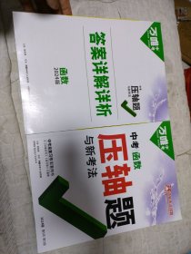 万唯中考 函数压轴题与新考法 2024版