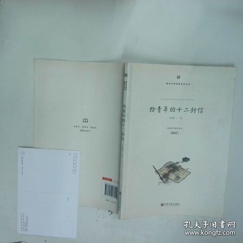 整本书阅读课程化丛书 给青年的十二封信  朱光潜 中国文联出版社