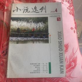 小说选刊2009年4月