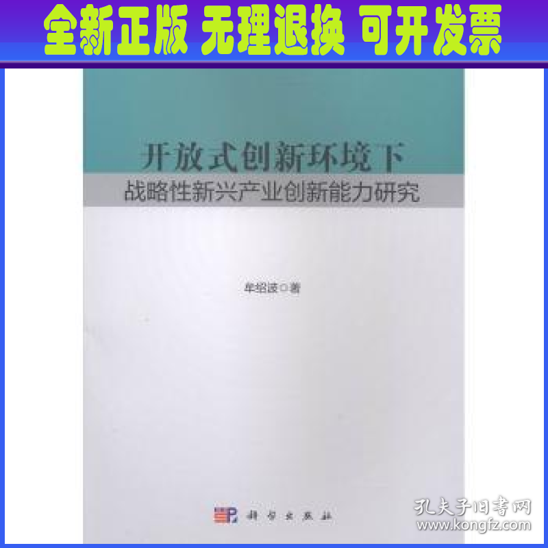 开放式创新环境下战略性新兴产业创新能力研究