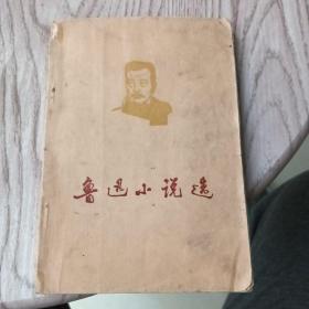 鲁迅小说选