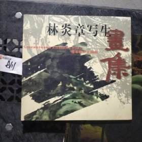 林炎章寫(xiě)生畫(huà)集
