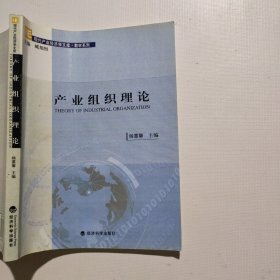 产业组织理论（无副页）