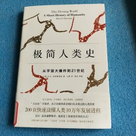 极简人类史：从宇宙大爆炸到21世纪