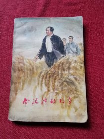 南泥湾的故事（1978年）