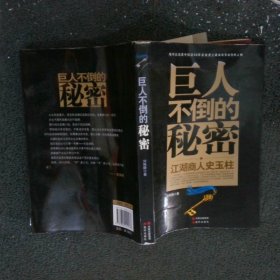 巨人不倒的秘密：江湖商人史玉柱
