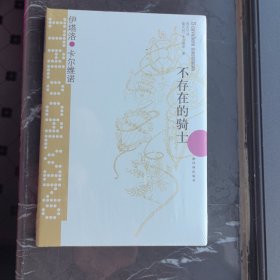 不存在的骑士