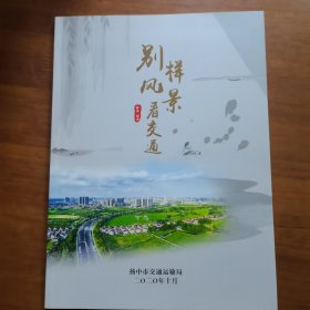 别样风景看交通（放门口位左）