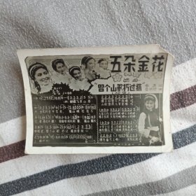 老照片式贺年卡片——五朵金花