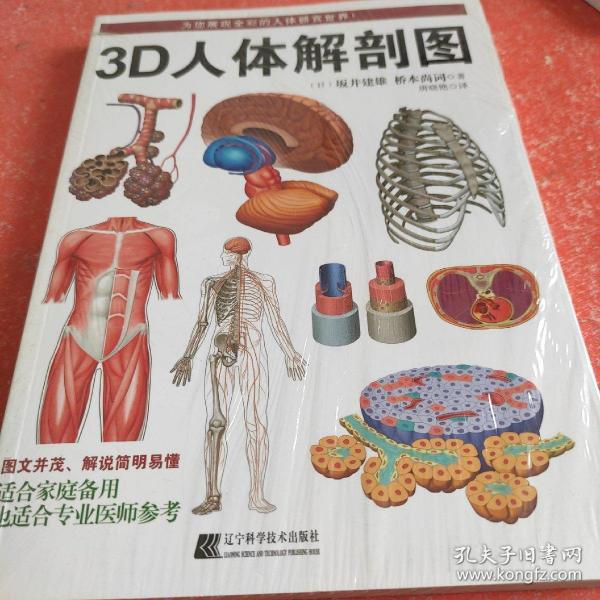 3D人体解剖图