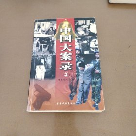 中国大案录 2