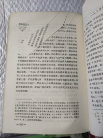 皇父摄政王多尔衮全传