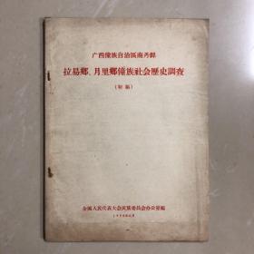 广西僮族自治区南丹县拉易乡、月里乡僮族社会历史调查