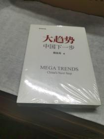 大趋势 中国下一步