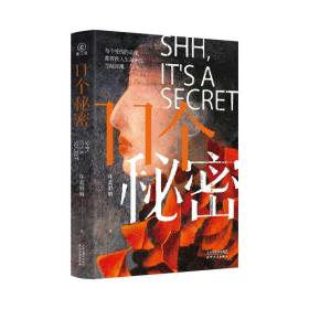 11个秘密 中国现当代文学 坏蓝眼睛