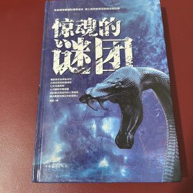 惊魂的谜团