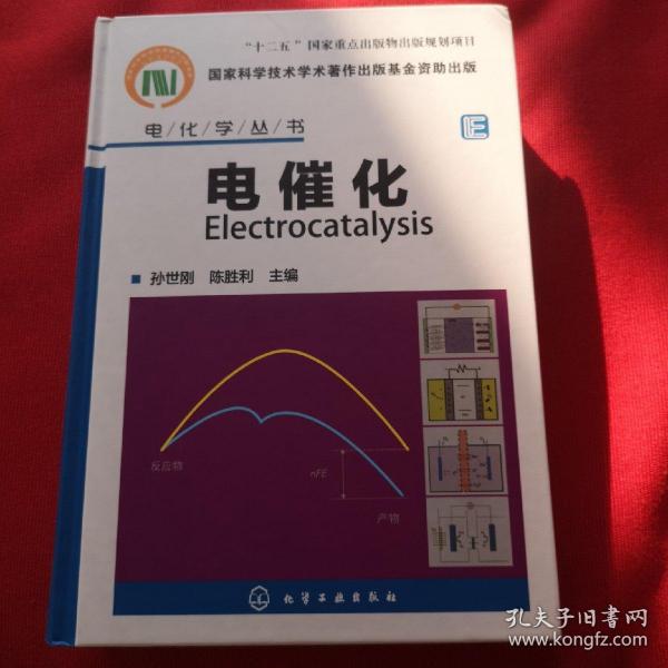 电化学丛书：电催化