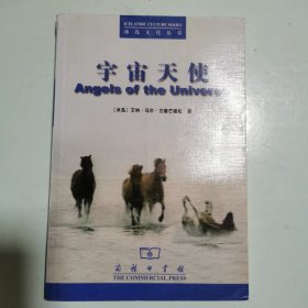 冰岛文化丛书：宇宙天使