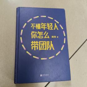 不懂年轻人 你怎么带团队  正版内页没有笔记