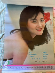 海南情 1990年挂历 全十三张