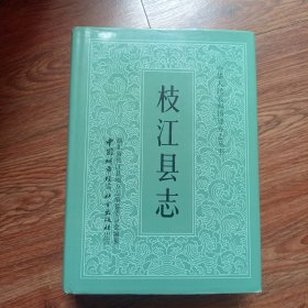 枝江县志1990年