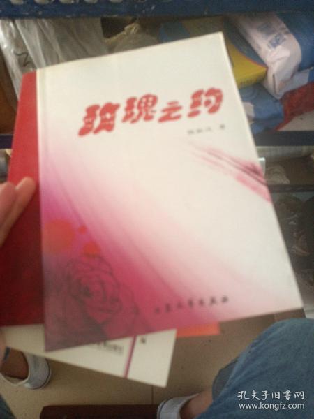 2005全国会计专业技术资格考试重点内容详解及测试.中级经济法