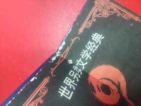 世界另类文学经典(全24册，缺本12，23本合售)