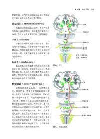 全新 临床技能 第2版